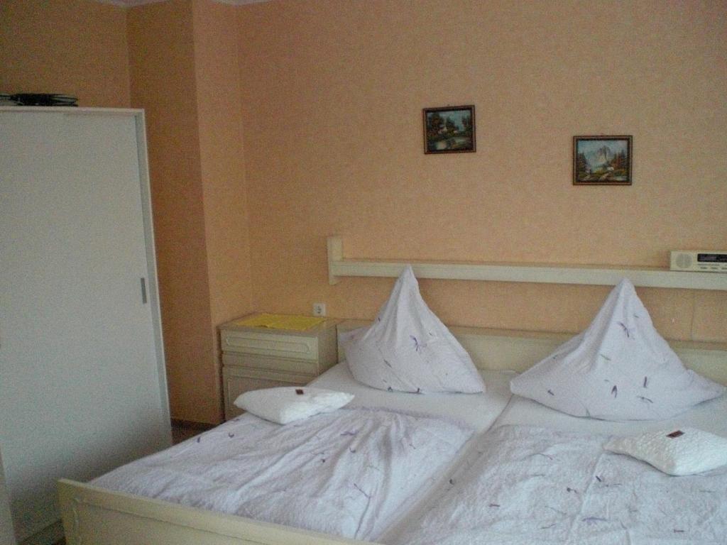 ホテル Haus Hubertus ヴィンターベルク 部屋 写真
